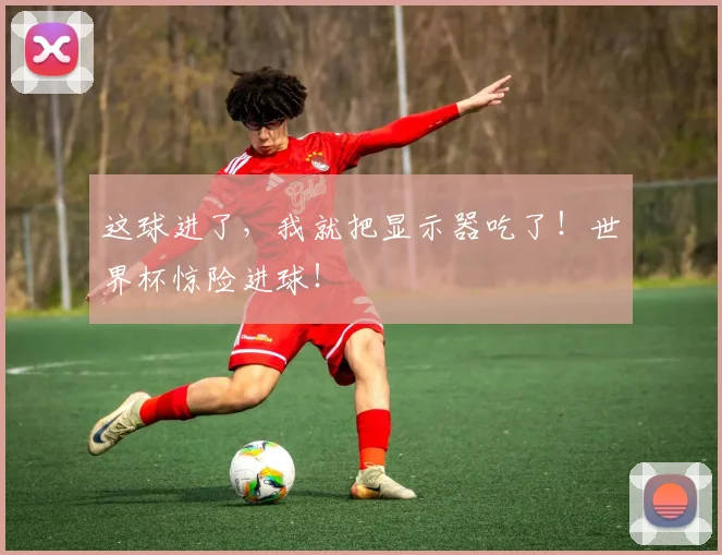 这球进了,我就把显示器吃了!世界杯惊险进球!